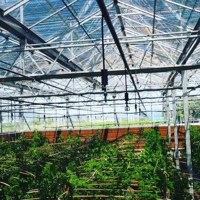 Imagem mostra peças de irrigação para aspersores agrícolas feitas de plásticos de engenharia