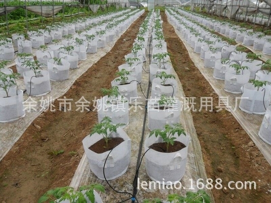 Setas de queda personalizáveis para irrigação de fazendas de pot Agricultura Irrigação personalização