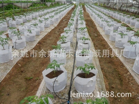 Engenharia de acessórios de gotejamento de plástico para irrigação de plantas domésticas portáteis personalizáveis