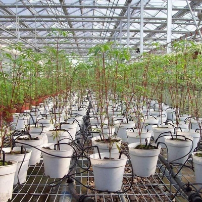 Irrigação de potes Agricultura Drop Arrows com materiais de plástico de engenharia durável