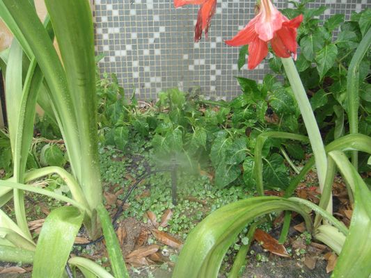 Sprinkler de alcance ajustável para microirrigação de culturas em panelas Durável e durável