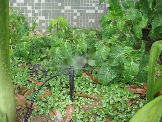 Sprinkler de ligação inserida de raios/centrífugas para irrigação agrícola consistente no jardim
