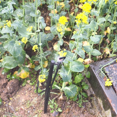 G Tipo 360 Sprinkler de refração para irrigação florestal Micro com regulação da pressão da água