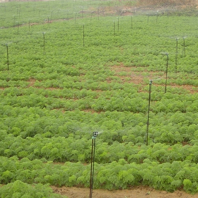 Sistema de irrigação de jardim de 360 graus Sistema de pulverização de água agrícola com raio de 3-4.8m