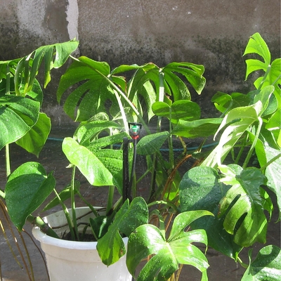 Sistema de irrigação de jardim de 360 graus Sistema de pulverização de água agrícola com raio de 3-4.8m