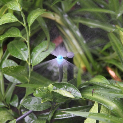 Imagem mostra irrigação simples saída atomizando micro-água Agricultura Sprinkler