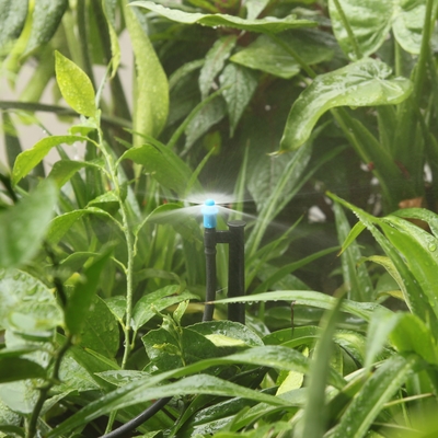 Imagem mostra irrigação simples saída atomizando micro-água Agricultura Sprinkler