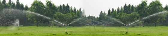 1/2' Rotativo Rocker Arm Impact Sprinkler Perfeito para a irrigação da agricultura do condado