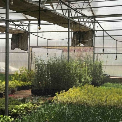 Compradores comerciais recebem desconto em sprinkler de jardim de 360 graus para irrigação agrícola