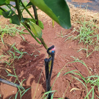 360 graus Sprinkler de água agrícola Estilo normal para irrigação por micro sprinkler