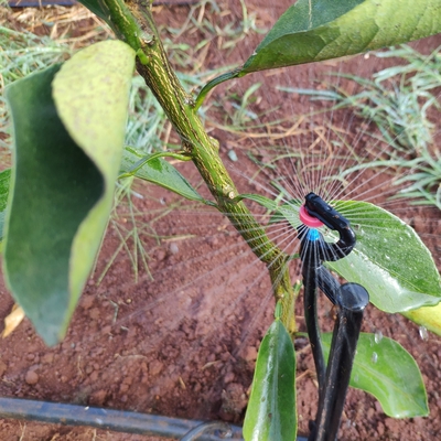 360 graus Sprinkler de água agrícola Estilo normal para irrigação por micro sprinkler