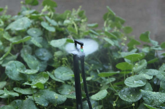 Tipo G Agricultura e silvicultura Irrigação Microsprinkler Estilo normal para TV Shopping